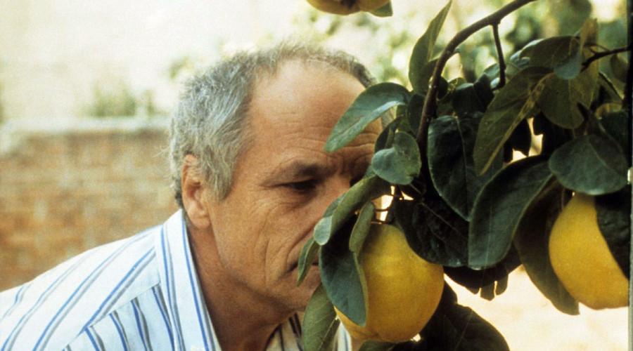 Homenagem a Víctor Erice no Porto