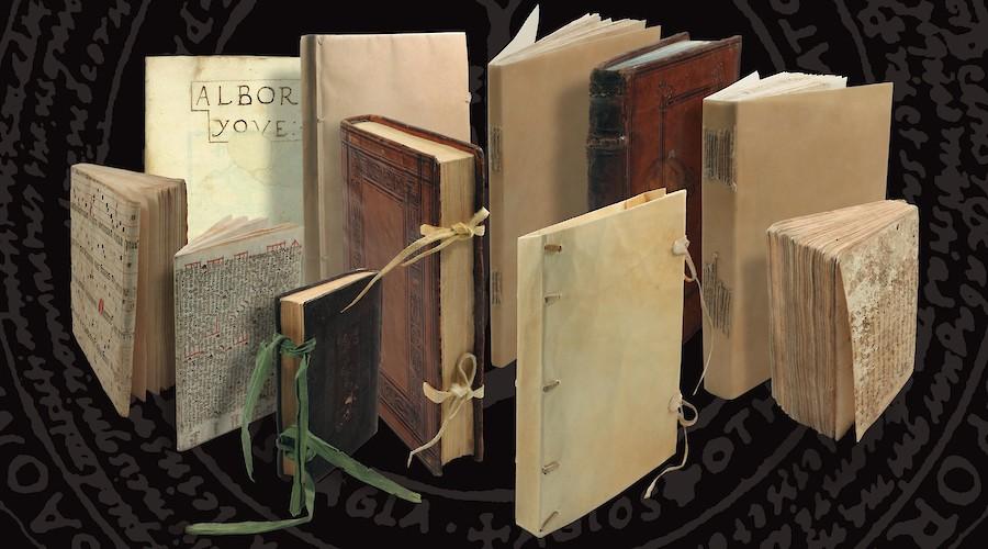 La Biblioteca de Barcarrota. 25 años de un hallazgo