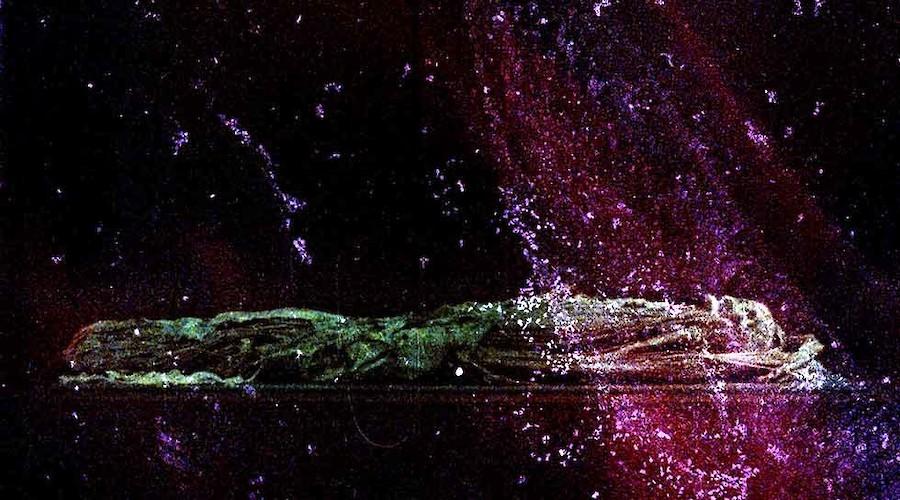 Curtas Vila do Conde 2018