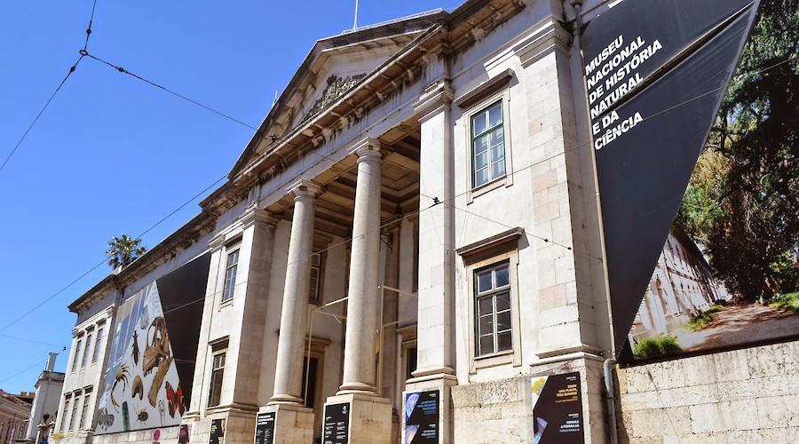 O Conservador-restaurador: uma profissão do Património Cultural