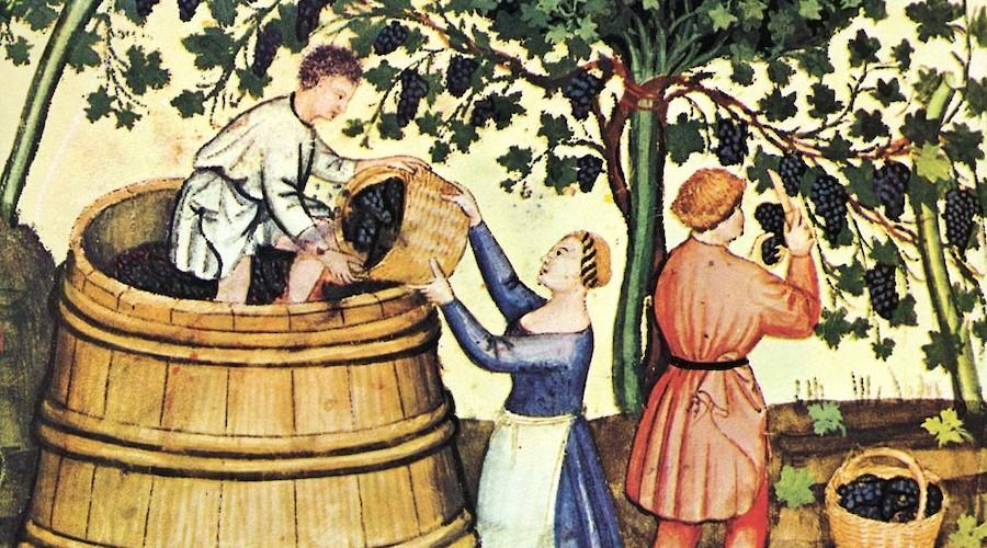 La Trova: Amargas vides, alegres vinos em Alcobaça