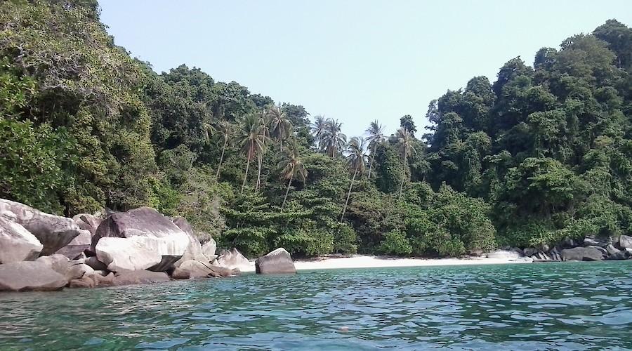 Fauna y flora durante la primera vuelta al mundo