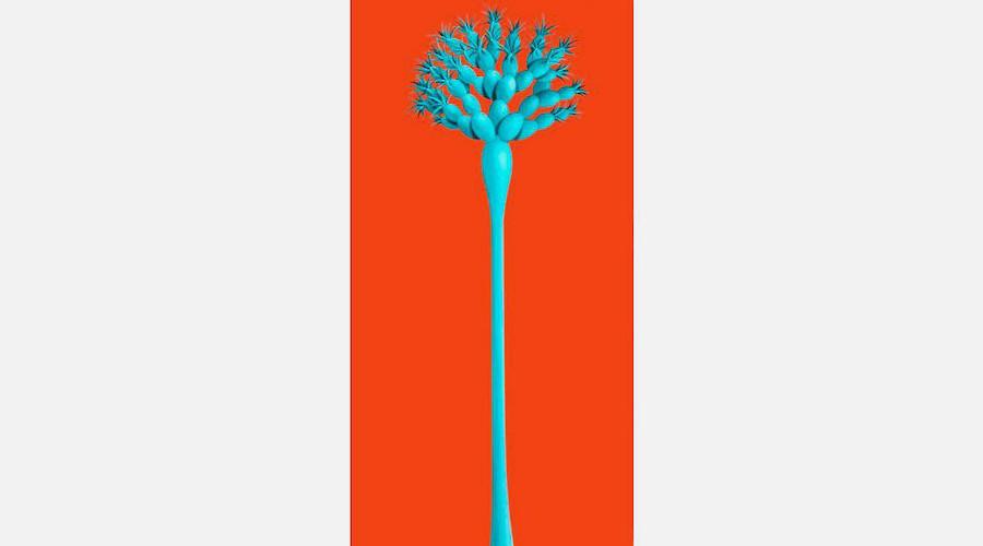 Carmen Cólogan: Cuerpos de Islas. De Sur a Sur