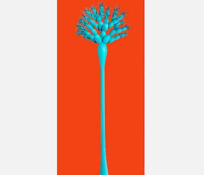 Carmen Cólogan: Cuerpos de Islas. De Sur a Sur