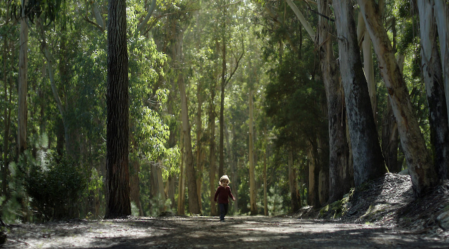 Olhares do Mediterrâneo 2020
