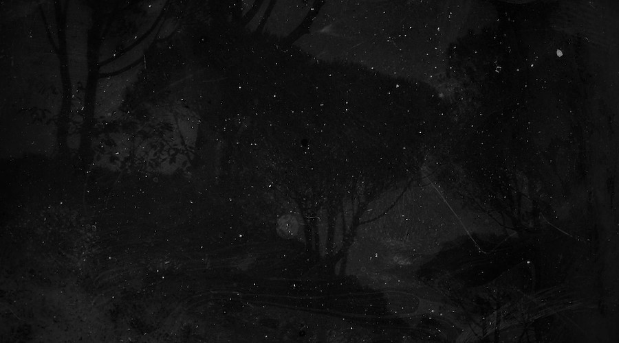 AnaMary Bilbao: Apologia da Floresta e Outras Impressões