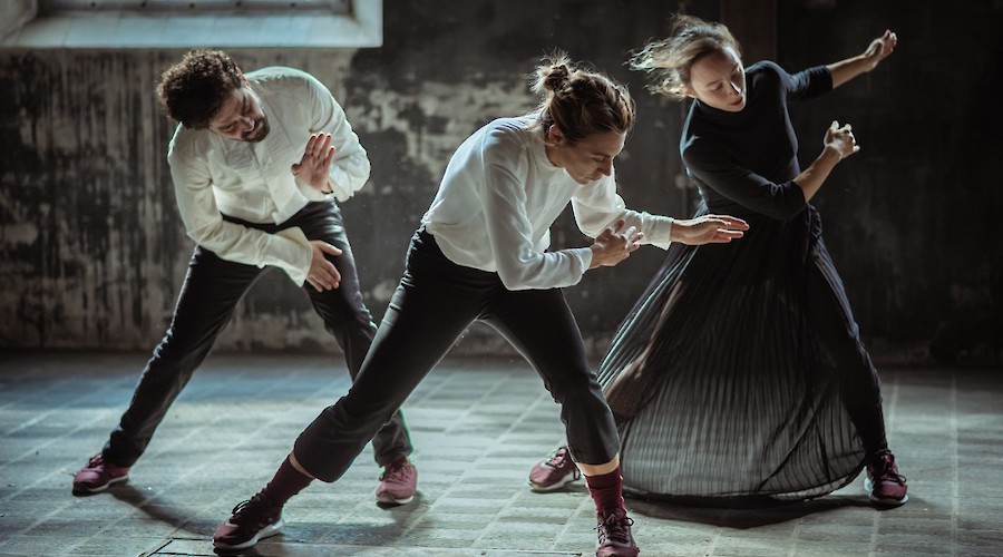 29ª Quinzena de Dança de Almada. Mostra de Videodança