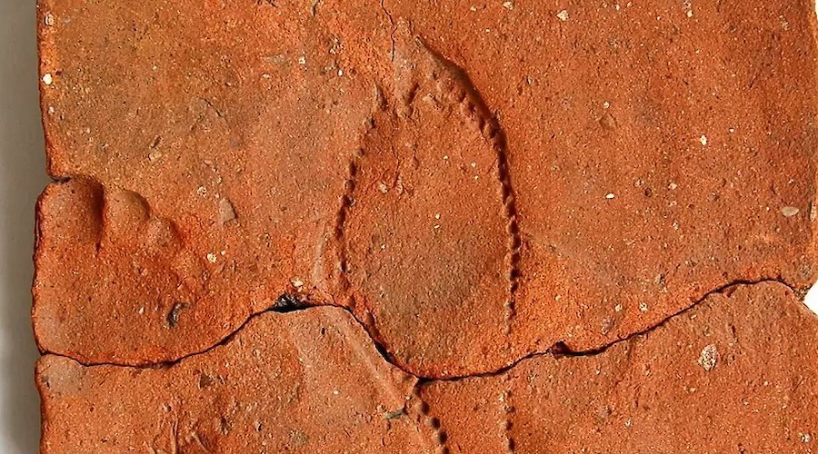 O Caminho de Santiago: Caminhos do caminho