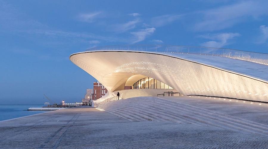 Seres Vulneráveis. Sounding Out