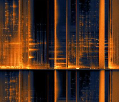 An Aria for the Mallard de Rosana Antolí